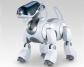   Aibo