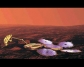     Beagle 2,     