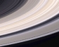 Cassini       