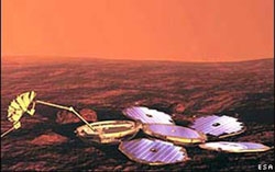 Beagle-2    