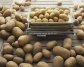 Белорусы накормят всех ГМО картошкой